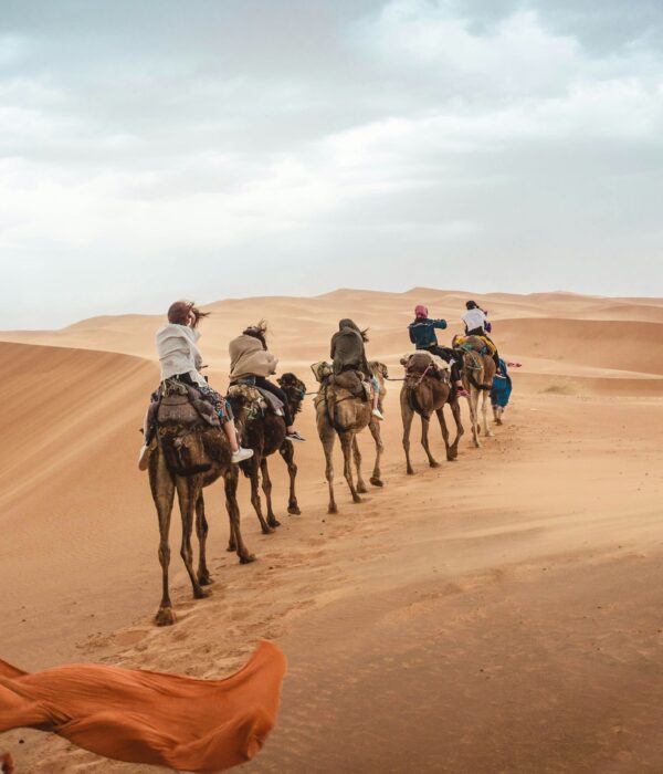 10 Days Morocco Imperial Tour And Desert From Casablanca