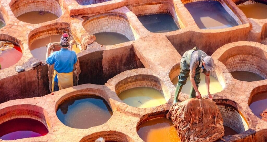 Fes: Al Attarine Madrasa & Chouara Tannery, Skip-the-Line Access