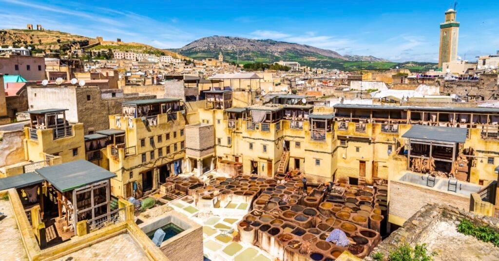 Fez: Museum, Bou Inania Madrasa & Tannery and Tea Break